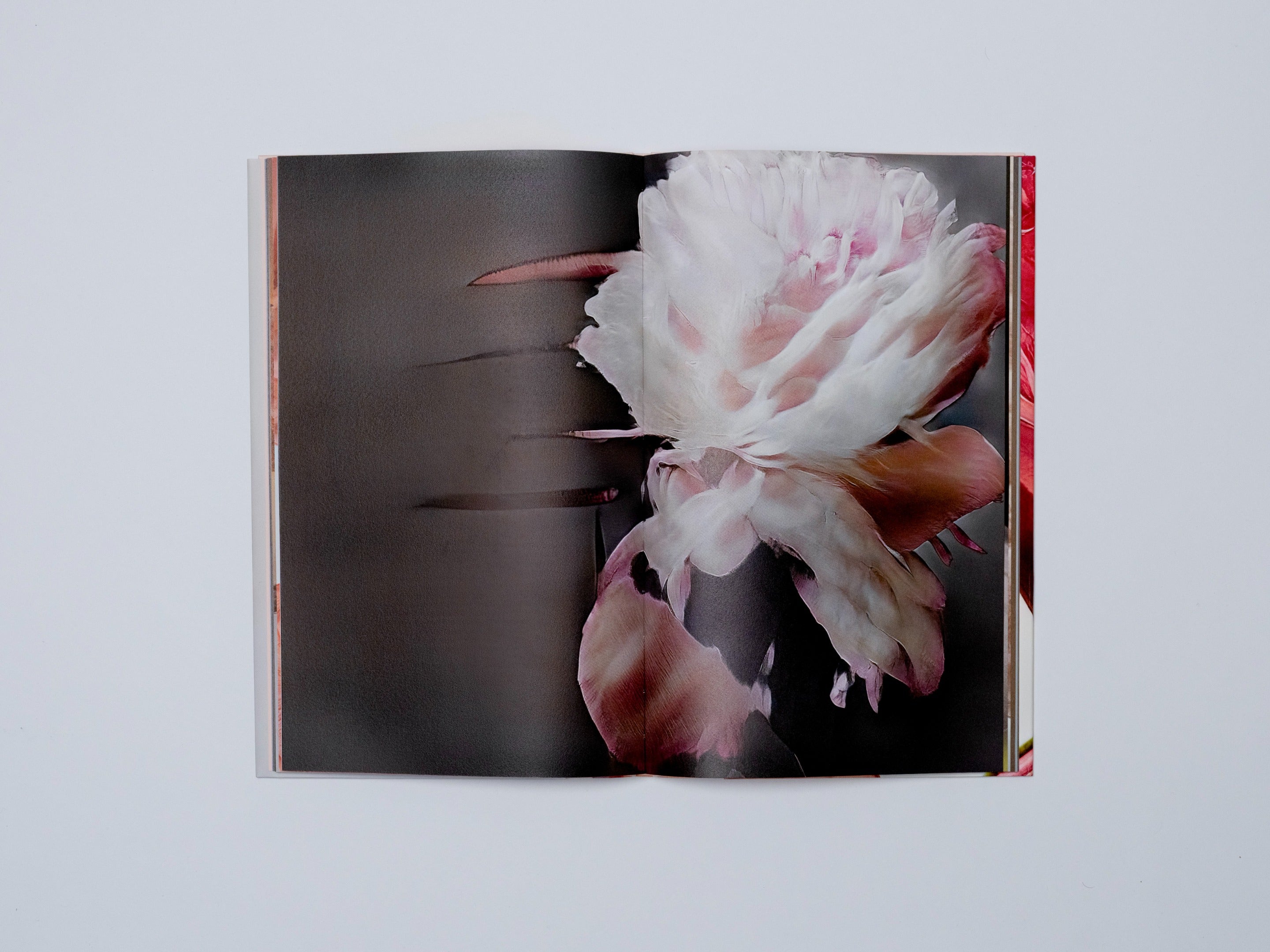 HANATABA - PHOTO BOOK 