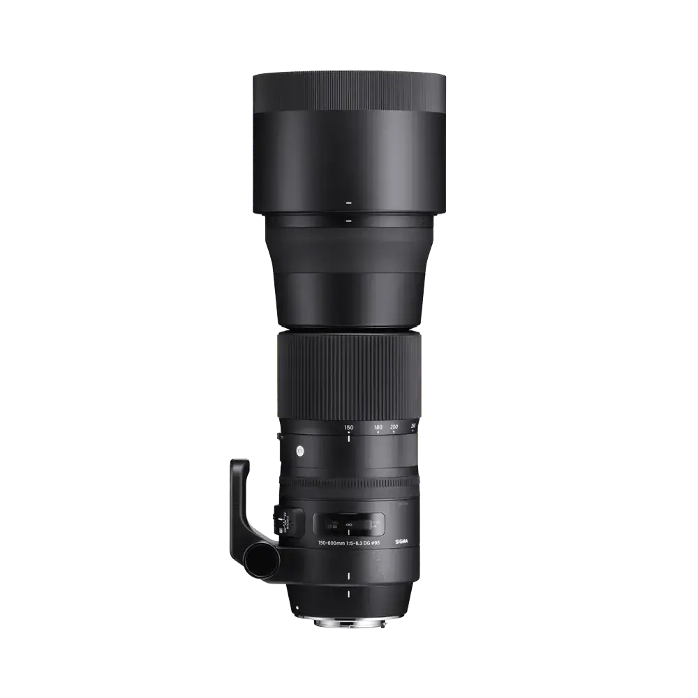 Amazon.co.jp: SIGMA 150-600mm F5-6.3 DG OS HSM | Sports S014