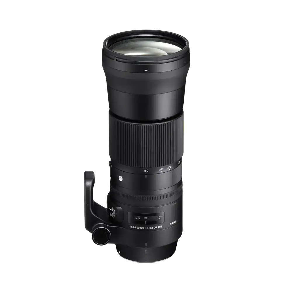 150-600mm F5-6.3 DG OS HSM | C - Sigma
