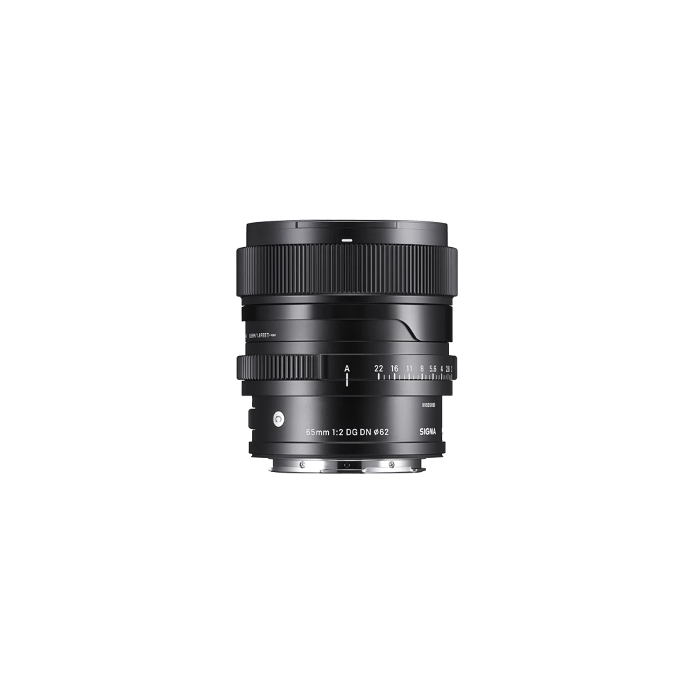 65mm F2 DG DN