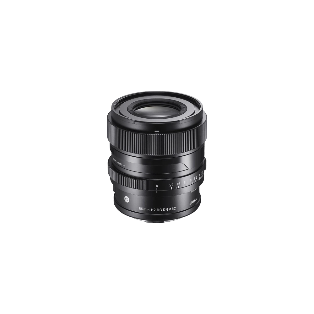 65mm F2 DG DN
