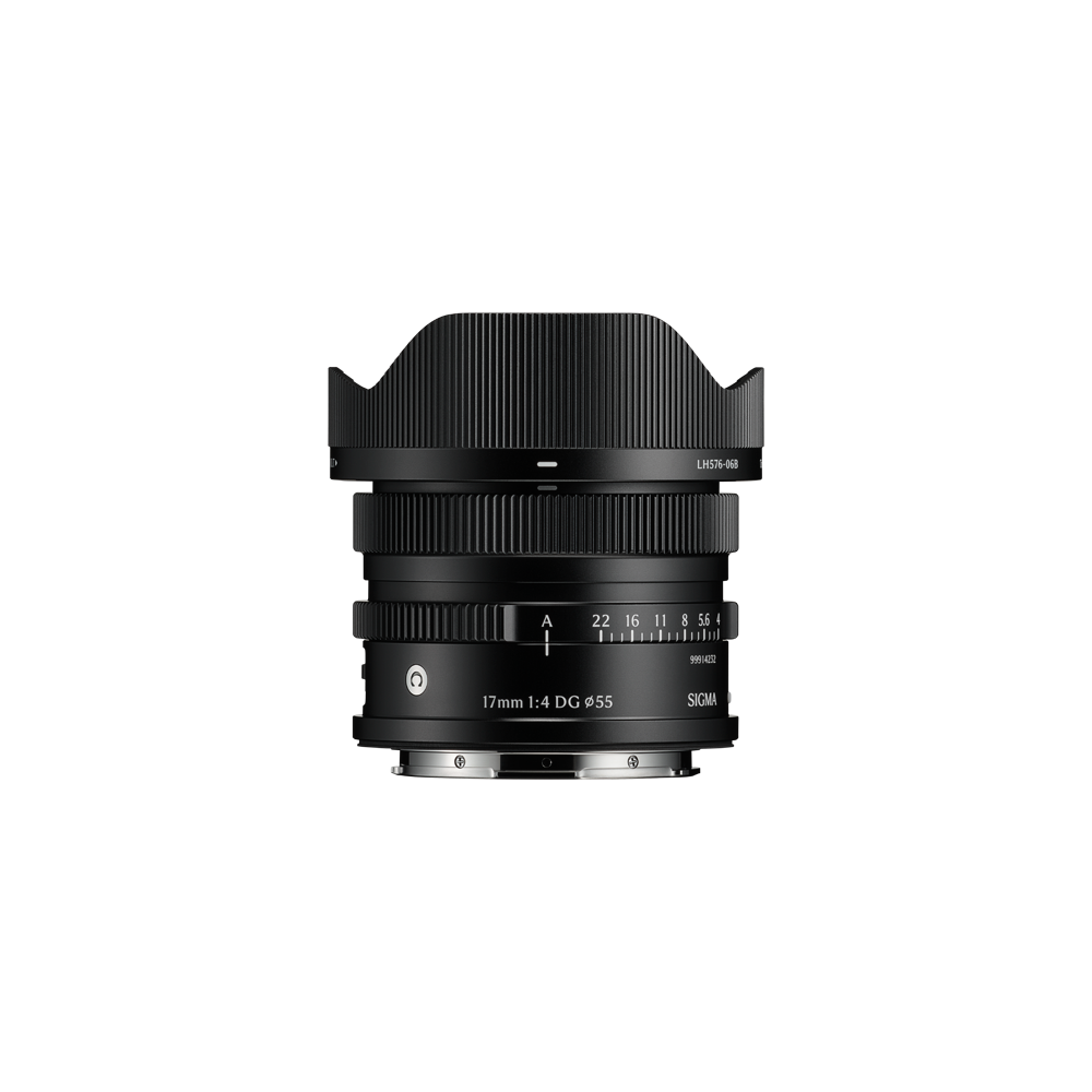 17mm F4 DG