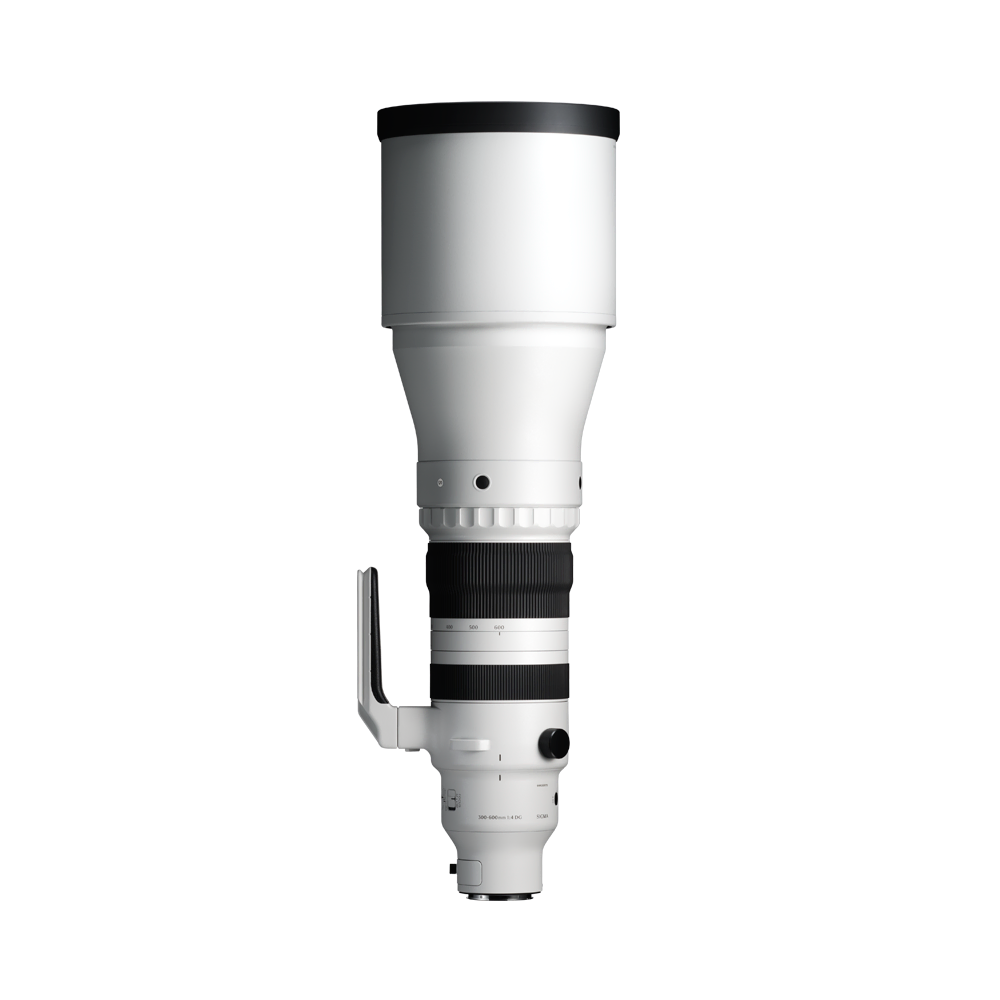 300-600mm F4 DG OS