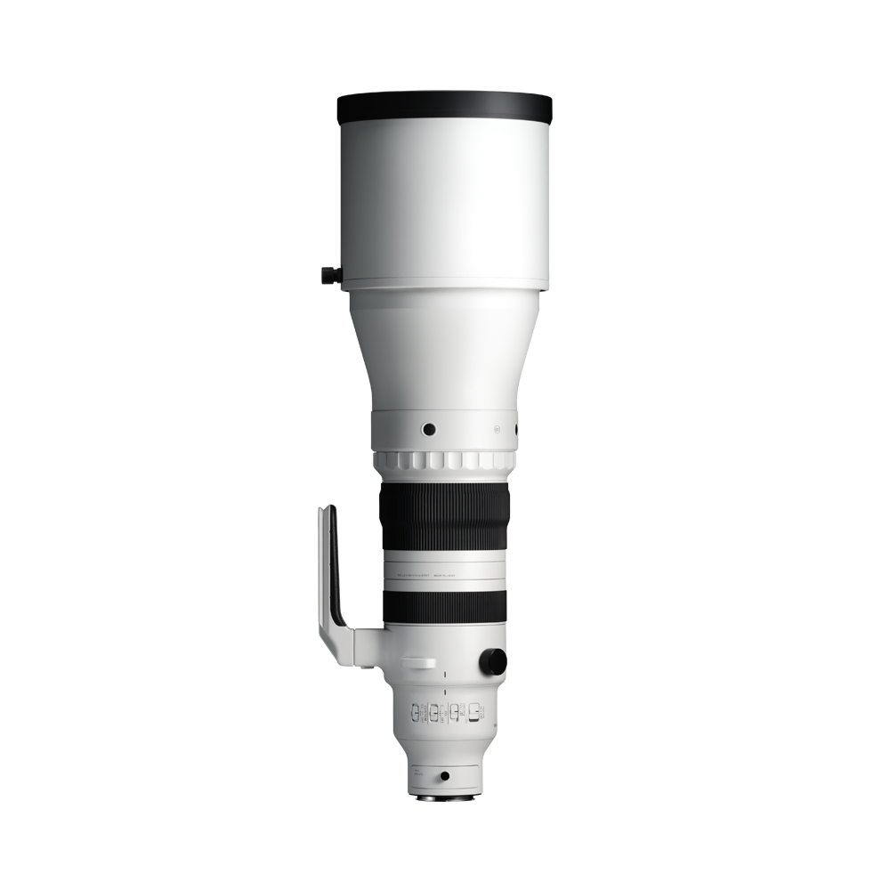 300-600mm F4 DG OS