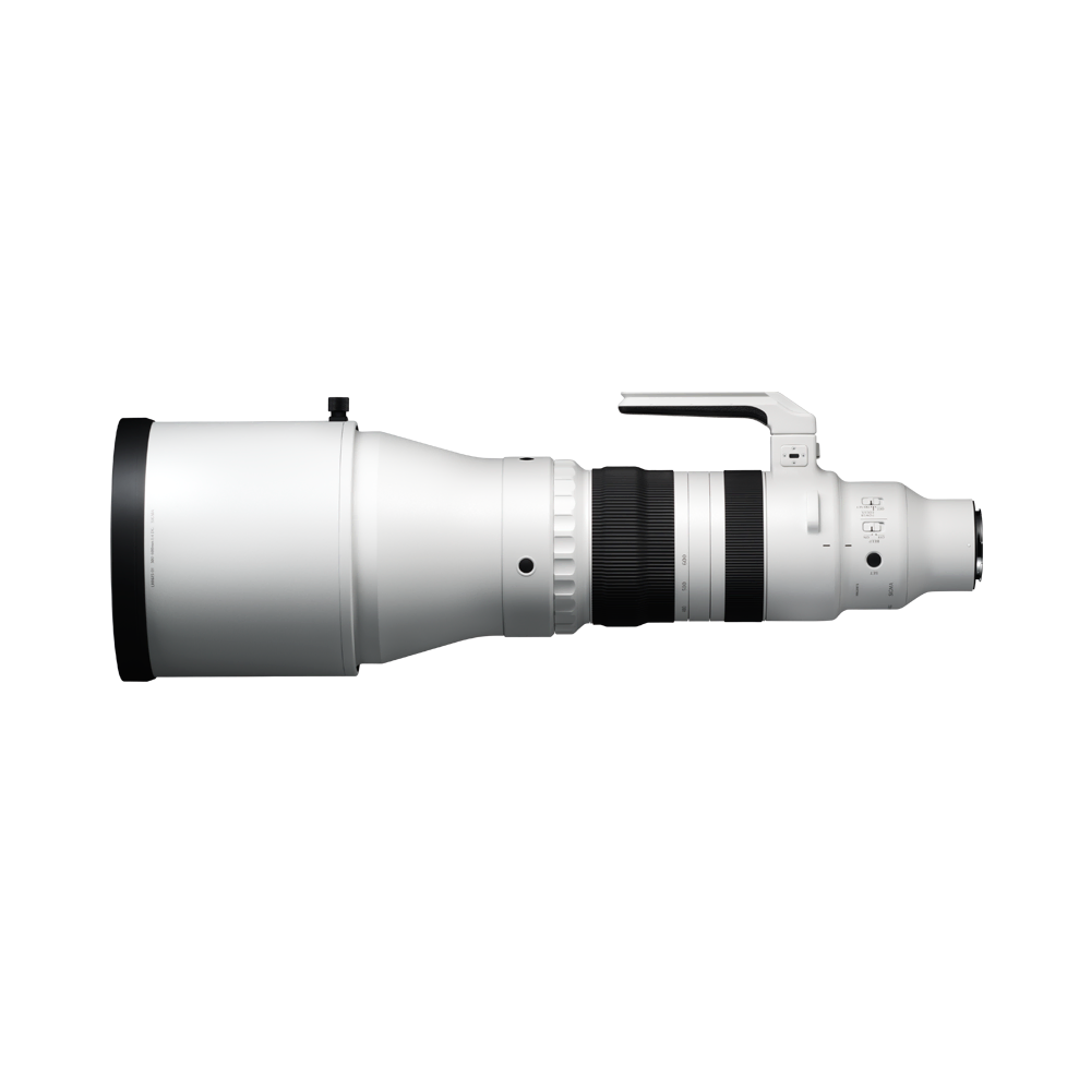 300-600mm F4 DG OS