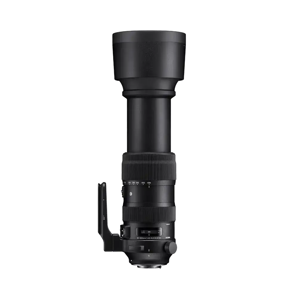 60-600mm F4.5-6.3 DG OS HSM | S - Sigma 60-600mm F4.5-6.3 DG OS HSM | S - Sigma