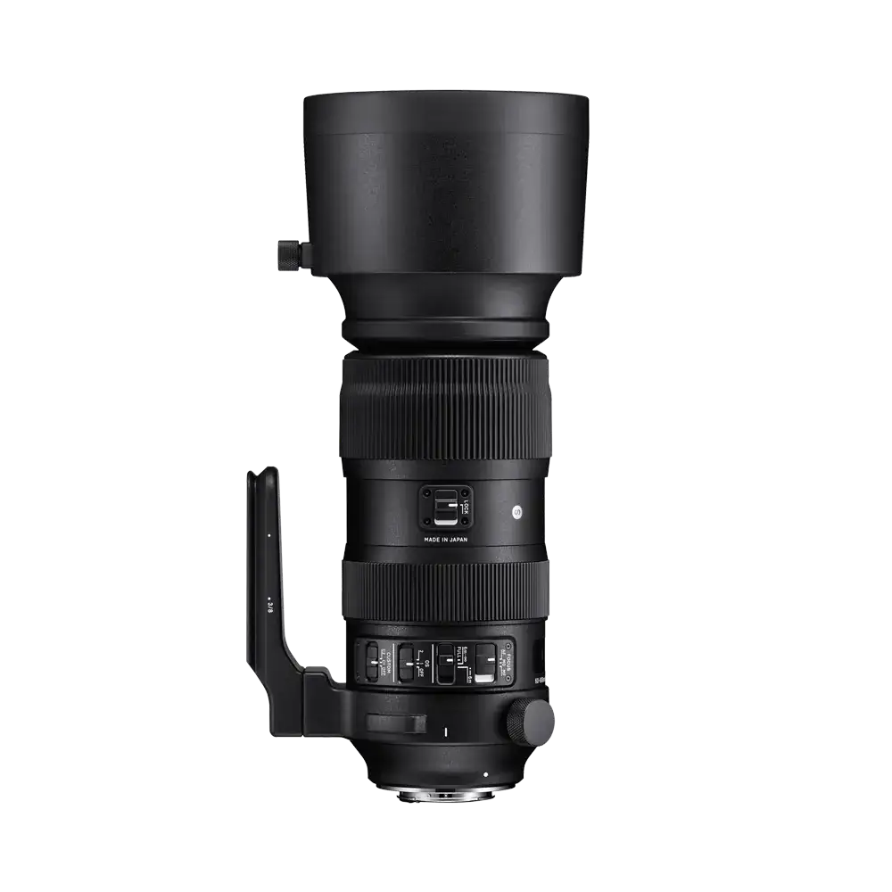 60-600mm F4.5-6.3 DG OS HSM