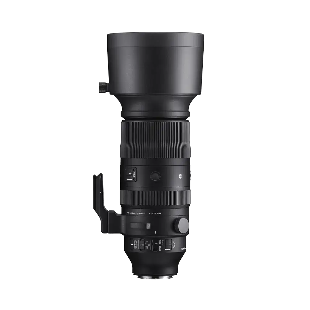 60-600mm F4.5-6.3 DG DN OS