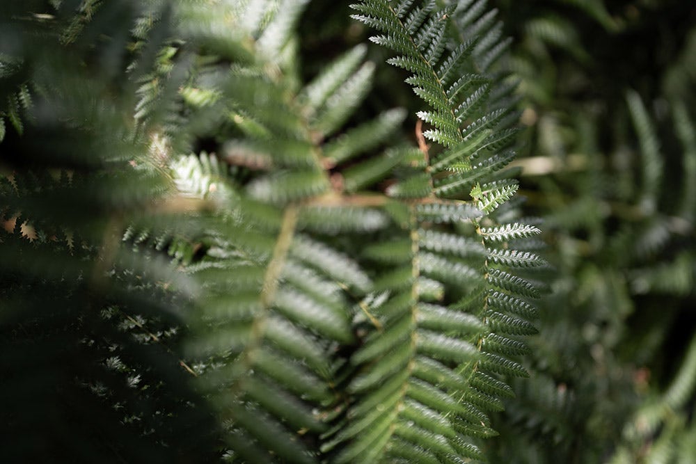 I love minimal and clean photography: SIGMA 24mm F2 DG DN
