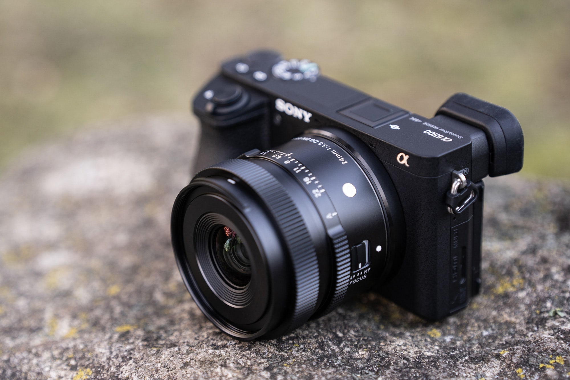 sony d800